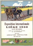 ** T2/T3 1930 Liege, Exposition Internationale, Section Agriculture - Horticulture / International Exhibition Advertisem - Non Classificati