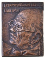 Csúcs Ferenc (1905-1999) 1988. 'Szentgyörgyi István 1881-1938' Br Plakett (500g/76x99mm) T:2 / 
Hungary 1988. 'István Sz - Zonder Classificatie