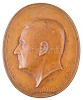 Seregély Dezs? (1867-1948) 1924. 'Dr. Nagy Emil Orvos 1924' Ovális Br Plakett (816g/161-132mm) T:2 / Hungary 1924. 'Dr.  - Non Classificati