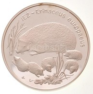 Lengyelország 1996. 20Zl Ag 'Sündisznó' T:PP / Poland 1996. 20 Zlotych Ag 'Hedgehog' C:PP
Krause Y#312 - Non Classificati