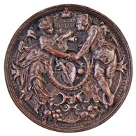 Német Birodalom 1876. 'Dem Verdienste (A Szolgálatért)' Ezüstözött Br Emlékérem, Nem Eredeti Tokban (780g/115mm) T:2 Ph. - Unclassified