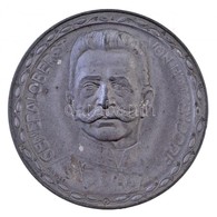 Osztrák-Magyar Monarchia ~1915. 'Hötzendorf Vezérezredes' Zn Emlékérem 'M&W.ST' Gyártói Jelzéssel (48,82g/54mm) T:2 / Au - Altri & Non Classificati