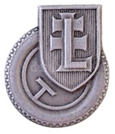 ~1940. 'Gyorslevente Jelvény' Fém Gomblyukjelvény (23,5x20mm) T:1- / Hungary ~1940. 'Levente Qualification Badge For Mot - Altri & Non Classificati