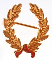 1963. 'Kossuth-díj I. Fokozata' Aranyozott Br Kitüntetés, Részben Zománcozott (22x25mm) T:1 / Hungary 1963. 'Kossuth Pri - Non Classificati