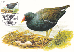 B01-025-4 3212  NAT  Carte Souvenir FDC   Animaux Poule D'eau 25-10-2003 9100 Sint-Niklaas €7 - 1951-1960