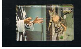 OLANDA (NETHERLANDS) -   1997 CAT         -  USED - RIF. 10864 - Katzen