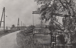 Pays-Bas - Scheendijk - Village - Breukelen - Breukelen