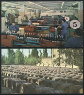 139 ARGENTINA: Winery "Peñaflor", 2 Old Advertising PCs With Views Of Establishment In Sa - Argentine