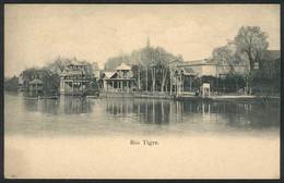 275 ARGENTINA: TIGRE: Tigre River And Typical Constructions, Circa 1905, Unused, Superb! - Argentine