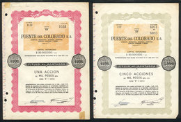 460 ARGENTINA: 2 Share Certificates Of "Puente Al Colorado S.A." Of 1963, VF Quality - Other & Unclassified