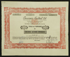 461 ARGENTINA: Certificate For 50 Shares Of $100 Of Brewery "Cervecería Austral", Issued - Sonstige & Ohne Zuordnung