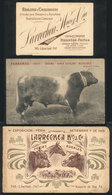 516 ARGENTINA: 3 Old Advertising Cards Of Cattle Auctions/fairs, Circa 1902/5, VF Quality - Other & Unclassified