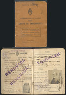 522 ARGENTINA: ID Card Of The Argentine Army, Issued To A Mr Faustino Alsina In 1911, VF - Autres & Non Classés