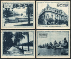 556 ARGENTINA: Ross Laboratories, 12 Advertising Leaflets Illustrated With Views Of Bueno - Sonstige & Ohne Zuordnung