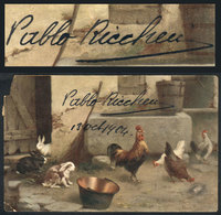 616 ARGENTINA: RICCHERI Pablo, Minister Of War, His Autograph On A Postcard Used In 1904, - Autres & Non Classés