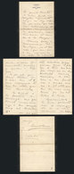 619 ARGENTINA: President JULIO A. ROCA: Manuscript Letter Of 1881, With His Signature, In - Other & Unclassified