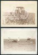 637 ARGENTINA: Rural Scenes: Lot Of 9 Photographs Circa 1910, Showing Views Of Cattle And - Autres & Non Classés