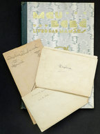725 BRAZIL: Personal Objects Of Daphne BUENO LYNCH, Including: Old Report Cards Of The Sc - Autres & Non Classés