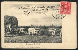 744 CHILE: Ox-cart Carrying Pasture, Ed. Kirsinger, Sent To Italy In 1905, Corner Crease - Chili
