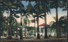 807 COSTA RICA: LIMÓN: A Glimpse Of Vargas Park, Ed. H.Wimmer, VF Quality! - Costa Rica