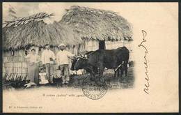 829 CUBA: A Cuban Bohío With Guajiros, Ed. J.Charavay, Used In 1903, VF! - Cuba