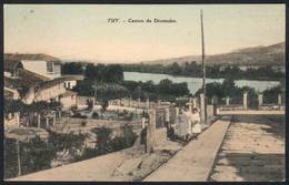 922 SPAIN: TUY: Cantón De Diomedes, Circa 1915, Unused, VF! - Sonstige & Ohne Zuordnung