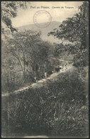 1044 HAITI: PORT AU PRINCE: Road Of Turgeau, Dated 1912, Minor Defects  (layer Separation) - Haïti