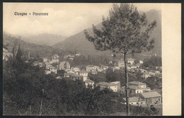 1142 ITALY: CICAGNA: General View, Circa 1909, Excellent Quality - Autres & Non Classés