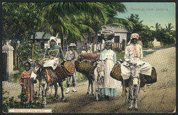 1248 JAMAICA: Going Home From Market, View Of A Family With Loaded Donkeys, VF - Jamaïque