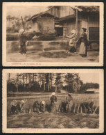 1250 JAPAN: 2 PCs Showing People Producing Rice, Unused, Edited By The Institute Of Foreig - Other & Unclassified