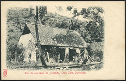 1279 MARTINIQUE: Les Trois Ilets: Birthplace Of Joséphine, Circa 1905, VF Quality! - Autres & Non Classés