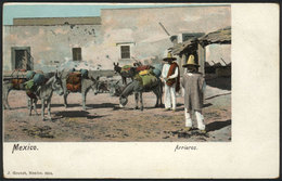 1287 MEXICO: Mule Drivers, Loaded Mules, Ed.Granat, Circa 1905, VF Quality! - Mexico