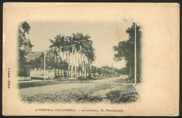 1388 PARAGUAY: ASUNCIÓN: Colombia Avenue, Ed.J.Luzzi, VF - Paraguay