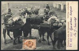 1460 RUSSIA: Caravan Of Kirghiz Men And Their Loaded Camels, Sent From VOLCHANSK To Argent - Russie