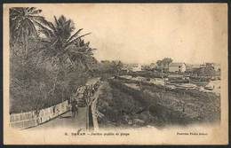 1467 SENEGAL: DAKAR: Park And Beach, Ed. Fortier, Sent To Argentina In 1903, VF! - Sénégal