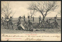 1484 SOUTH AFRICA: A Fight With Assegains, Ed. Epstein, Sent To Buenos Aires Circa 1904 (s - Südafrika