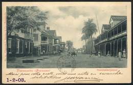 1516 SURINAME: PARAMARIBO: Steenbakkerystraat, Ed. Kersten, Sent To Rosario (Argentina) In - Surinam