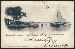 1517 SURINAME: PARAMARIBO: Nieuw-Amsterdam, Dock And Boats, Circa 1900, VF - Suriname