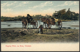 1520 TRINIDAD: La Brea, Digging Pitch, Men Loading Asphalt Onto Carts, VF Quality! - Trinidad