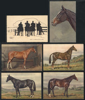 1537 WORLDWIDE: HORSES: 6 Beautiful Old PCs, VF Quality - Non Classés