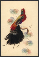 1548 WORLDWIDE: Parrot, Hand-made With Feathers, VF Quality - Zonder Classificatie