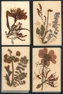 1550 WORLDWIDE: 4 Postcards With Dried Flowers, Circa 1900, VF Quality - Unclassified