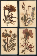 1550 WORLDWIDE: 4 Postcards With Dried Flowers, Circa 1900, VF Quality - Zonder Classificatie