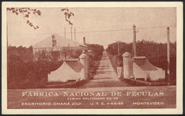 1601 URUGUAY: National Factory Of Starchs, Montevideo, Old Advertising PC Of VF Quality! - Uruguay