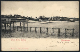 1618 URUGUAY: MONTEVIDEO: Pocitos Square, Ed. Testasecca, Sent To Buenos Aires In 1903, Th - Uruguay