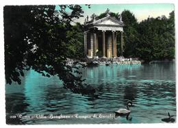 Lazio Roma  Villa Borghese  Tempio Di Esculapio Viaggiata 1956 - Parques & Jardines