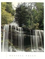 (200) Australia - TAS- Russell Falls - Wilderness