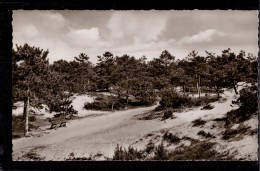 Sankt Peter Ording - S/w Dünenweg - St. Peter-Ording