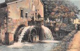 52 - HAUTE MARNE / Poissons - 523337 - Le Moulin - Poissons