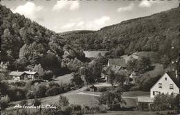 41252050 Antonslust Odenwald  Eberbach - Eberbach